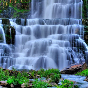 Meet your Posher, Gisela